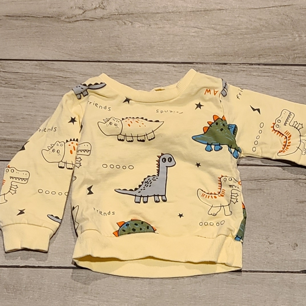 🍋‍🟩 p paw Dino Print Pullover sweatshirt🌻